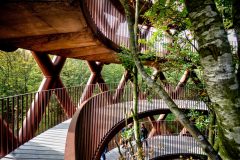 IMG_8638_Balancer-scaled